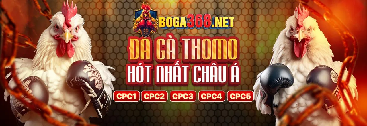 Sân đá gà trực tuyến HK88 sôi động
